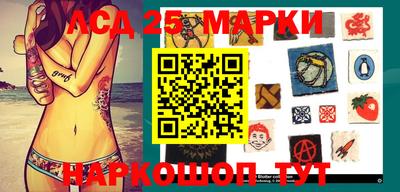 Альфа ПВП Моздок