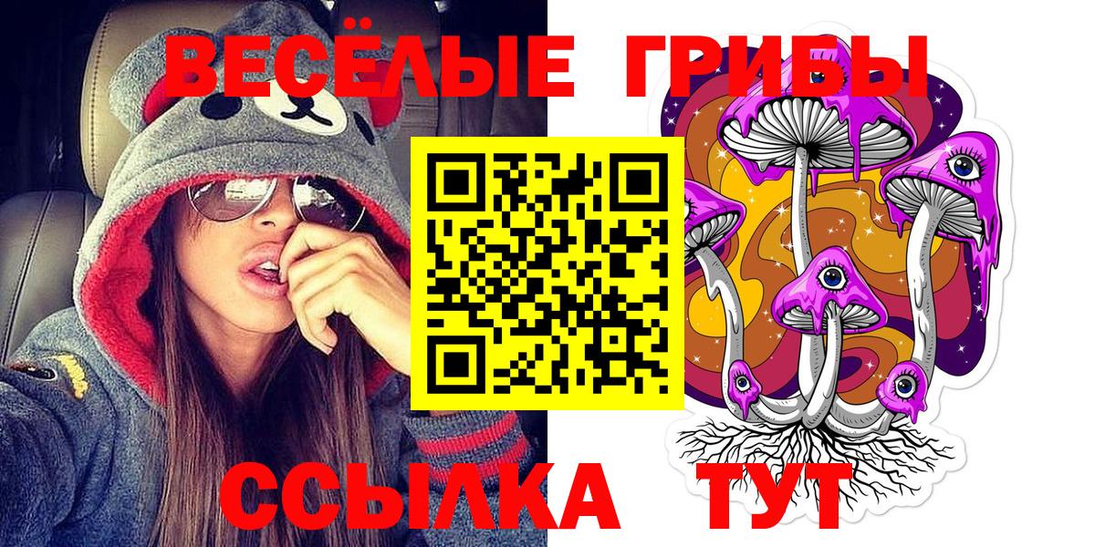 Анжеро-Судженск  Псилоцибиновые грибы мухоморы  Вход с VPN 